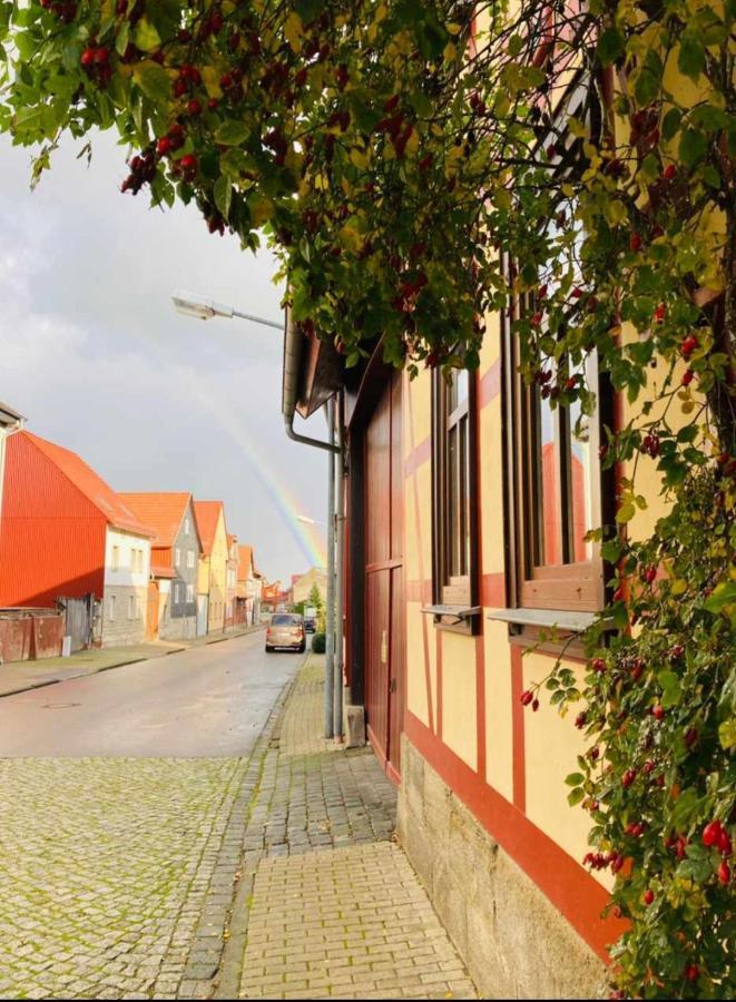 Dazwischen Uebernachten Kammerforst Exterior foto